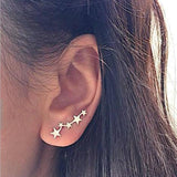 Hot Crystal Flower Stud Earrings for Women