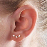 Hot Crystal Flower Stud Earrings for Women